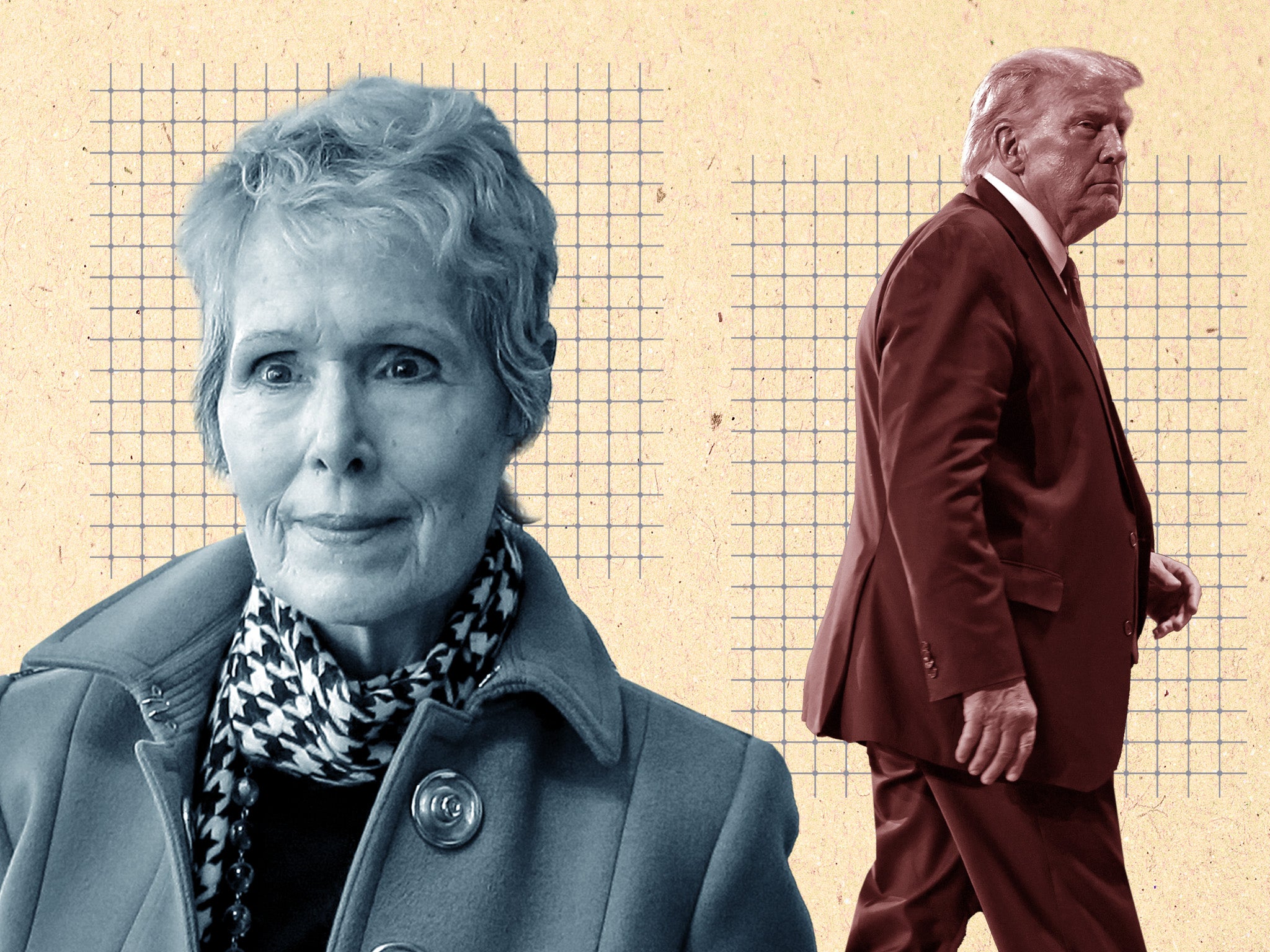 E Jean Carroll IownieCaiomhe   E Jean Carroll Trump Court 